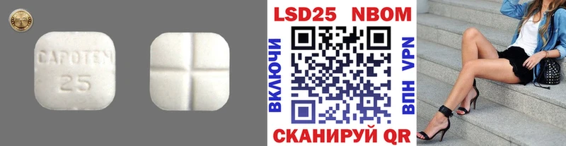 Купить закладки  Называевск  Лсд 25 экстази кислота 