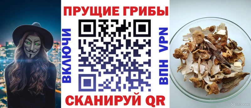 Псилоцибиновые грибы Psilocybine cubensis  Купить закладки  Называевск 